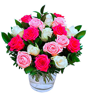 A Dream of Roses