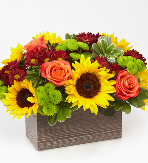 The FTD� Happy Harvest Garden�