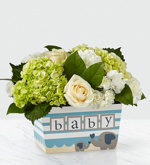 The FTD� Darling Baby Boy� Bouquet