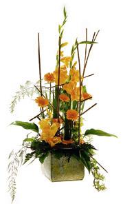 Arrangement of Cut Flowers
