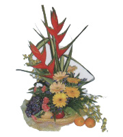 Fruits & Flowers